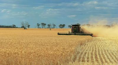 A tractor being used on a farm.
