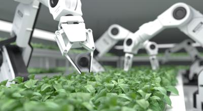 Space technology and food production
