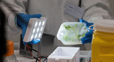 Person working in a lab