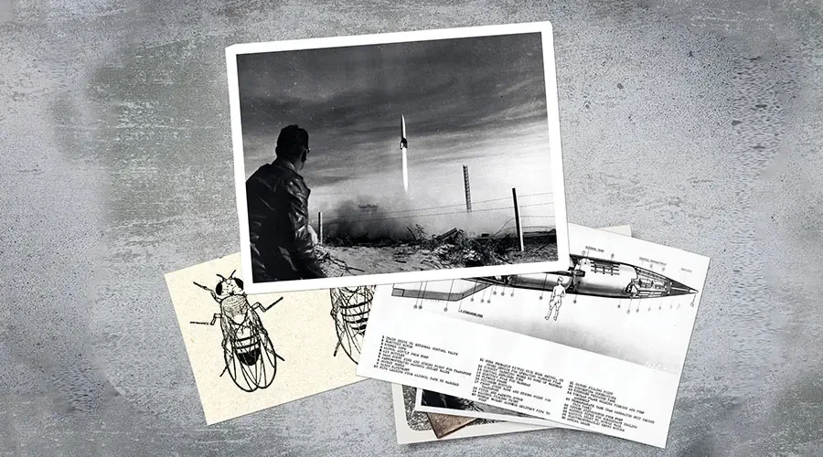 A collection of images that illustrates the significance of fruit flies in humanspaceflight
