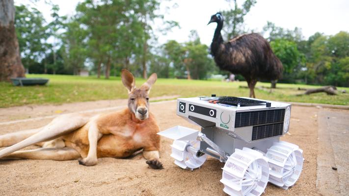 	G’day Roo-ver

