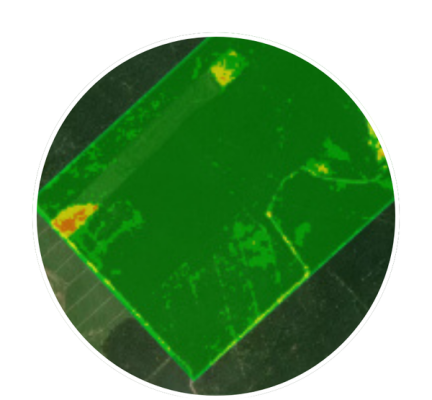 data from a Nature-based project