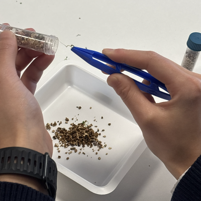 A school student experimenting with the Mission Sprout kit
