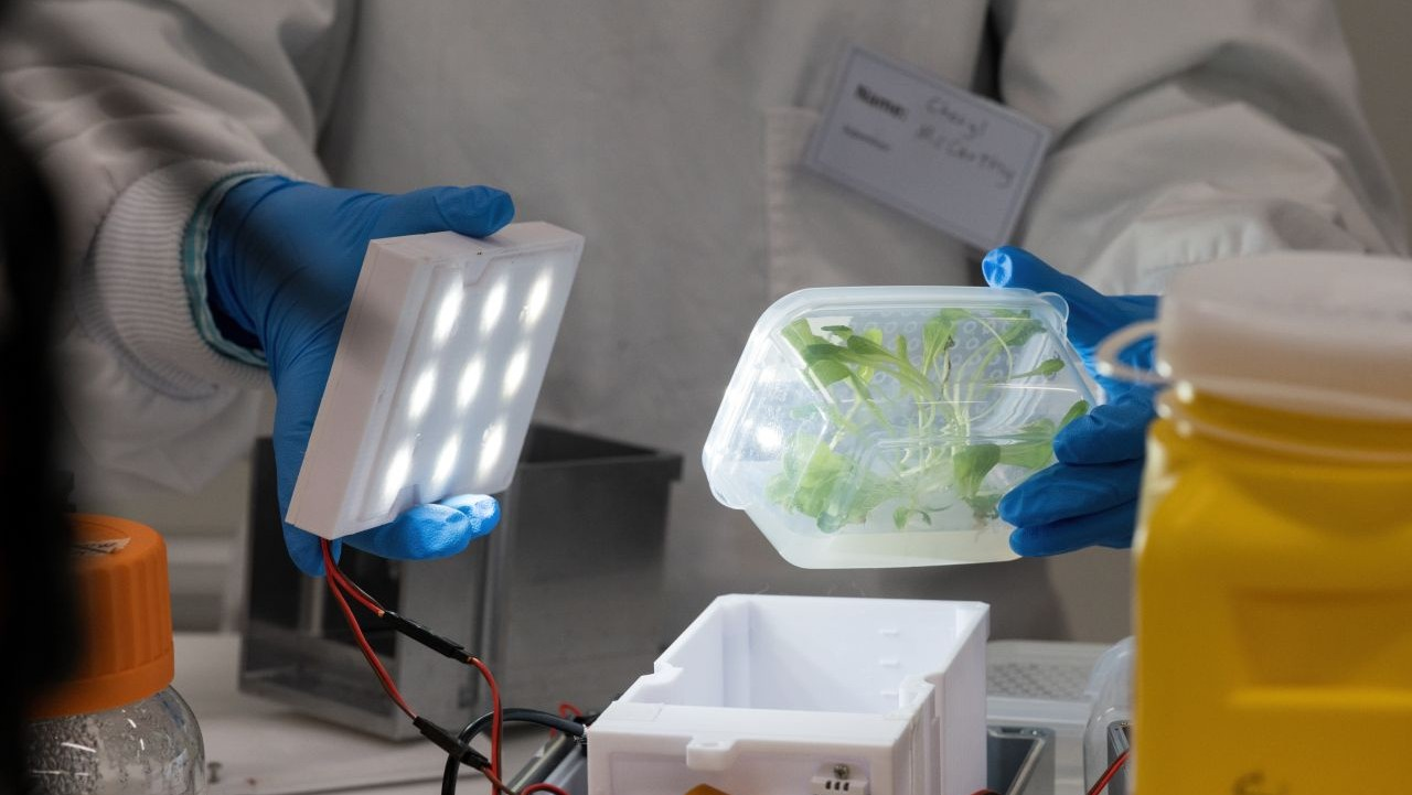 Person working in a lab